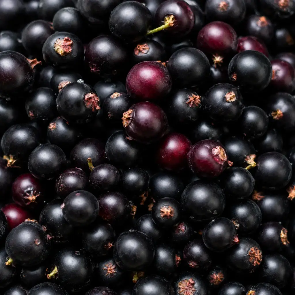 Mrazené Čierne ríbezle 2,5 kg