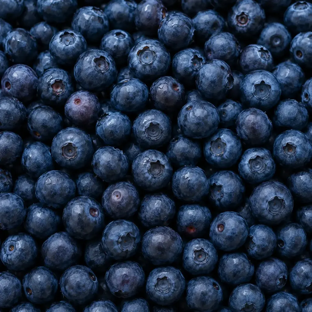 Mrazené Čučoriedky lesné 2,5 kg